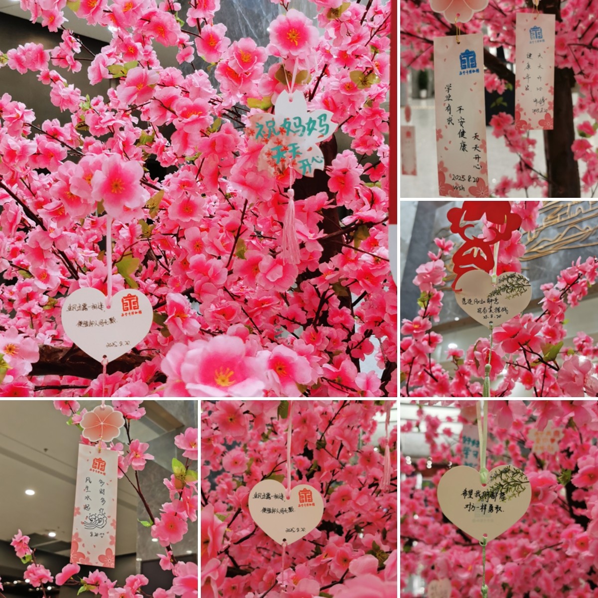 20250821171105045847.jpg 拼图.jpg