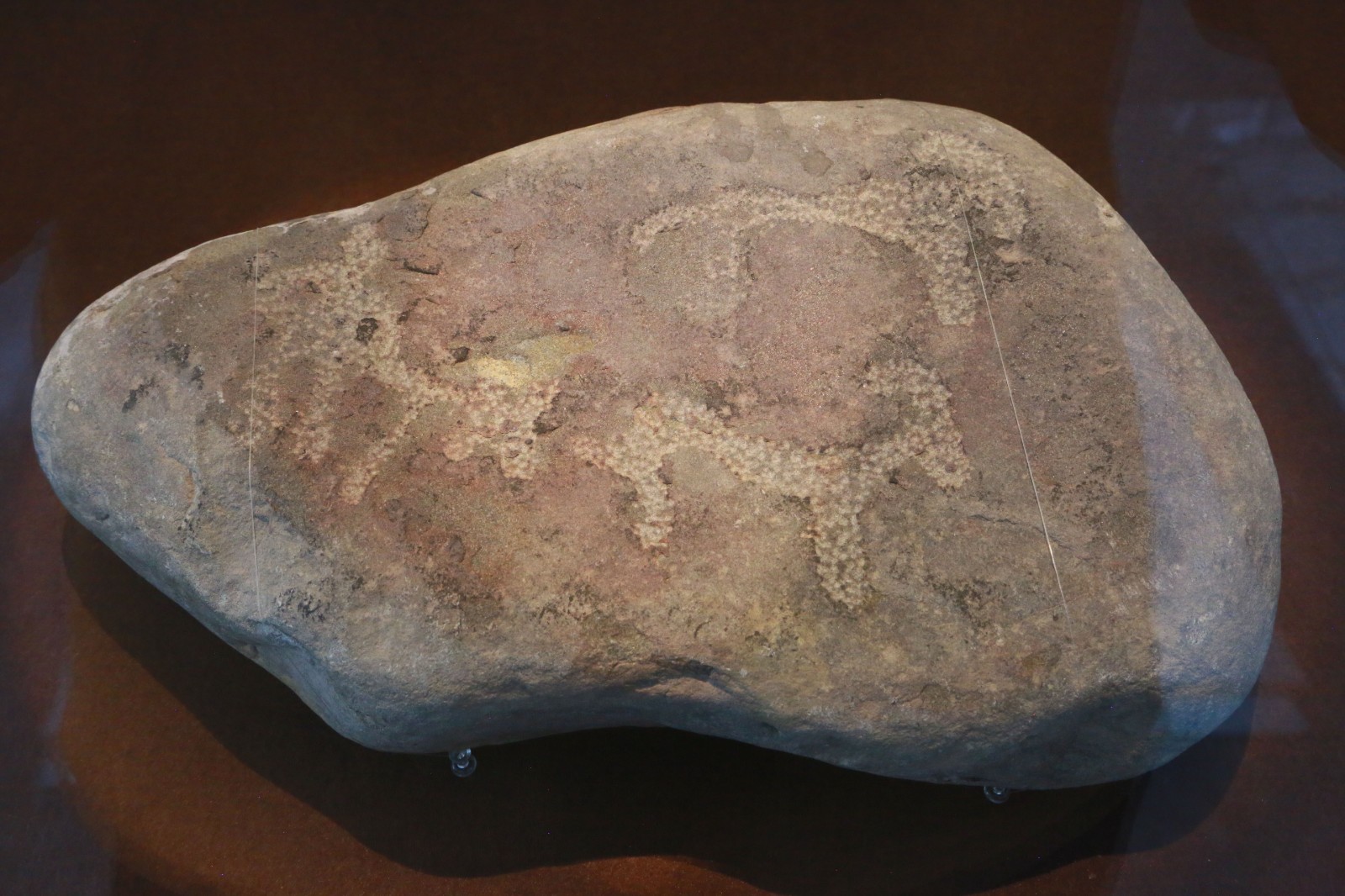 20231122152552020108.jpg 2-1.jpg